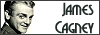100x35 code
