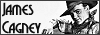 100x35 code