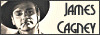100x35 code