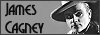 100x35 code