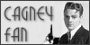 100x50 code