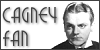 100x50 code
