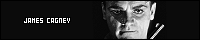 200x40 code