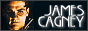 88x31 code