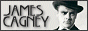 88x31 code