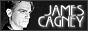 88x31 code
