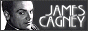 88x31 code