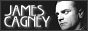 88x31 code