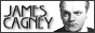 88x31 code