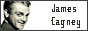 88x31 code