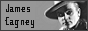 88x31 code