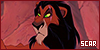 100x50 code