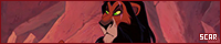 200x40 code