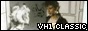 88x31 code