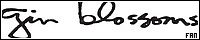 200x40 code