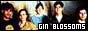 88x31 code