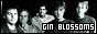 88x31 code