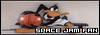 100x35 code
