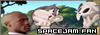 100x35 code