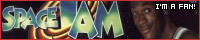 200x40 code