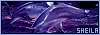 100x35 code