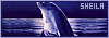 100x35 code