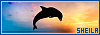 100x35 code