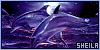 100x50 code