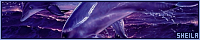 200x40 code