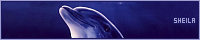 200x40 code