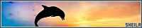200x40 code