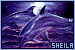 75x50 code