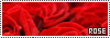 100x35 code