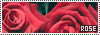 100x35 code