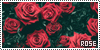 100x50 code