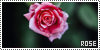 100x50 code