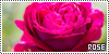 100x50 code