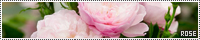200x40 code