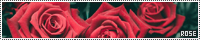 200x40 code