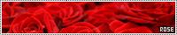 200x40 code