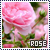 50x50 code