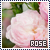50x50 code