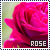 50x50 code