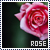 50x50 code
