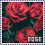 50x50 code