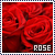 50x50 code