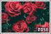 75x50 code