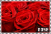 75x50 code