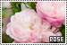 75x50 code