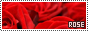 88x31 code
